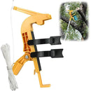 ffffffe8fbe0fc20f8e4f3e8f3eaf800f9bfb90fb00fe4ffeeffccffdeffef7f000000000000001e0000000000800000