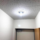 00000000000002f08ffeefbef3f1f801fdfffffffffffffffc00f800f800700000e9001c009c00b3002b9c221c00a215