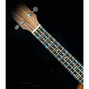 000008001e003e001e002e00038001e000f00018003c001e00030003000100000000a26b6b0eab6b6ba2809072727200