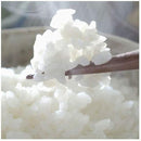 ffff8780838083e087f08ff88ff08c80fc00fa88fff8ffe8cfc08fc080088000