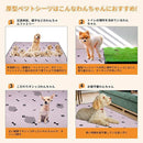 ffffbdfafffffff0ff9cc18f8280b4f08080ffffffffeca0fac0ea8ed6b78080