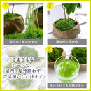 00003de178f308f704c200c100c300807fff7fc87f8c6f986fa07fe767ff6bc42c2c2c2c2c1a003e2c9e00002c3b003a