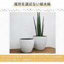 fffffffff0079cf5efffefdfffdfef9fef9fea17ed1be123e003e003ffff000000000000009c9cb3009ca2ab00002b1c