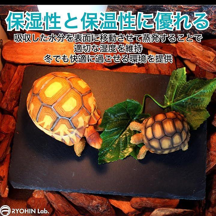 00007fcdffff5d9cfc9383681fc41fc01f801f300f7802d00080000010000b70000000000e130903f70b0ebdfcdf23a4