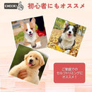 ffffabeffffffeffc0c7e4c1e211e609e51fe2fbe47fe841c0c1c0c1f9c1ffff131212121415102f122e0b1e1c1507fd