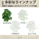 150912908de26564cfbfc79f870f8f0fc79fddfff973fdf4fbfffffffeff5fac181c1a1c000000000044000000003c24