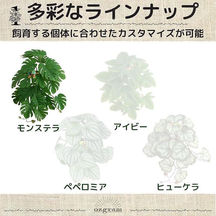 150912908de26564cfbfc79f870f8f0fc79fddfff973fdf4fbfffffffeff5fac181c1a1c000000000044000000003c24