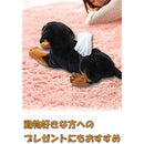 ffc3fff8f1e0e0ffe07f8067c001e000fe00ff0fffffffffffff8dffffffffbb