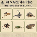 9f2f2311afe7ff75fbffefffc731dd30ffff8400ffffc7f0ee73ffffffff7e7c