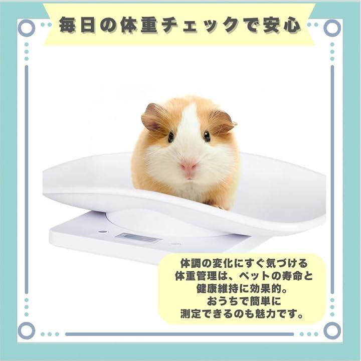 ffff28427fff7fff7fff7e1f7e1f7c1f401f668163ef7e1f7f5f7fff7f8b3fff2b8989897e0000007ea21cb37e00292a