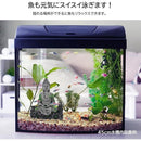 fffffdbfffff7fff4001400147d19ee195f1d7c1b9c1f121da41d041c439c00000000000a4a99ea99e3df245a42b2e53