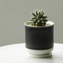 ffffffffffffffffff9fff8ffe8ffe03fe03fe03fe03fe03fe03ffe3ffc3fff3313131313131312d32322b2b6b2b332b