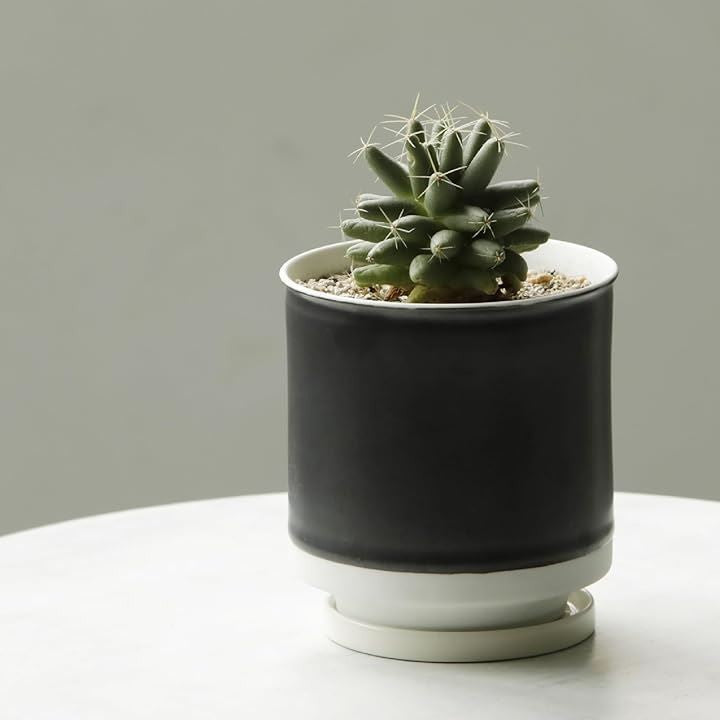 ffffffffffffffffff9fff8ffe8ffe03fe03fe03fe03fe03fe03ffe3ffc3fff3313131313131312d32322b2b6b2b332b