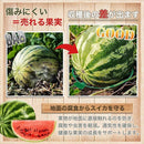 000017fd7fff7f3a403e207220e230500c58200030017fff0d6b5fcd17ff3ffd12151717123a12161532693232151615