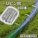 0ff78a83d6a1fe11730330827c96fb8ccf086e113d300040008001000202002b2b2b303231333232352b369c30358436