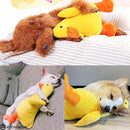 effbff4bf83fe0fbc088809f01ffbfffc7ff060017070b3f1c3f31064110700000210b0b000c2424aba4fbb922221521