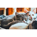 031b231b231b237f22f726cffe03fe1fbc06800b023e00de03f403f807f087f0140c0c160d0f900d8a8e158015109017