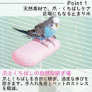 ffffffffffff1221080084324009a06457702fc00fa02610ffffde97f626fe1f726469697790c96b7500fa6c72646475