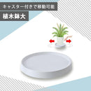 0015514a00d539ea07f50fea3fcf7fafffcffffff817f007f807f6075c1cabc08b8b8b008b8b000000000000009ea0ab