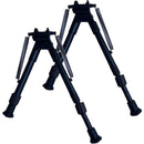 ffffff1ffe3ffe4fe37fe2eff4ffecf7ccf7dafbdf7f9f7dbfbcffbfffdfffdf00000000009f97000000009000000000