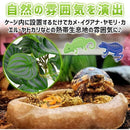 ffffffffffffd9f25c48207100f80a020400011902740022010d7d3f2ff600000000000009000000bc57448b09151e1e