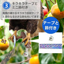 fffc99f69df6ffecd33cc000e016600c3250613fe17ff22b043e213f430803d83c220f25532b003135160e9a1c2935f8