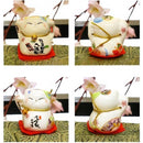 ffffcfcfcf879cbe82a0ffff80808080ffffcfffafdf9c9e8882bddb8c90808000003300001e001d00000000001d0021