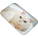 fffff9ffe4ffc73f019f040f00038001c000e000f801fc03fe07ff0fff9fffff