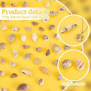 17200140ff10f61ebc7f4023228d8bdf5d84562e35ef0ca8c4800c074c4a417e212121210f2120211710210921211021