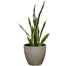 ffffffffff7fff7fff3fff7ffe5fff7fff7ffe1ffe1ffc1ffc1ffc1ffe3ffe3f000000000000320000003f0000001f00