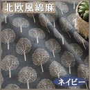 ffff6ff27c7e429a5047080767006a0009880582239a103020330e700001a5d4101010101209d512101c979e109e0092