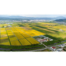 fffffffffffefbf9fd1ff9b5ff0bff8be7a0e1e70800003000200000000000039297979588243521322422353225243b