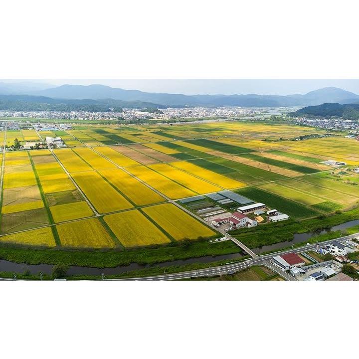 fffffffffffefbf9fd1ff9b5ff0bff8be7a0e1e70800003000200000000000039297979588243521322422353225243b