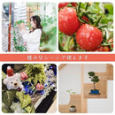 ffffffc6bf80e880fb85fc81ff80ac80010881be81fae5f8d0f182f190cfa5af0000000000a2000606070806009c0014