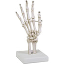 fffffefffefffc5ffcdfffdffcdfff1ffe1ffe3ffe3fffbfffbff81ff807fc07000000000000d5000000200000000000