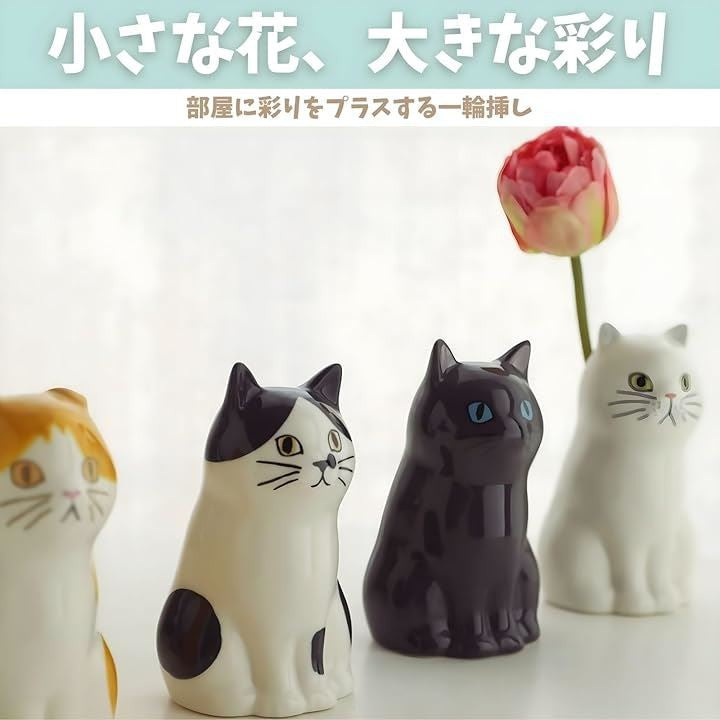 ffffc3c7fffffffffff3fff3fffffffbffc938c91889188918891081108110817f7f7f7f2b2b33fc1e172424243d3225