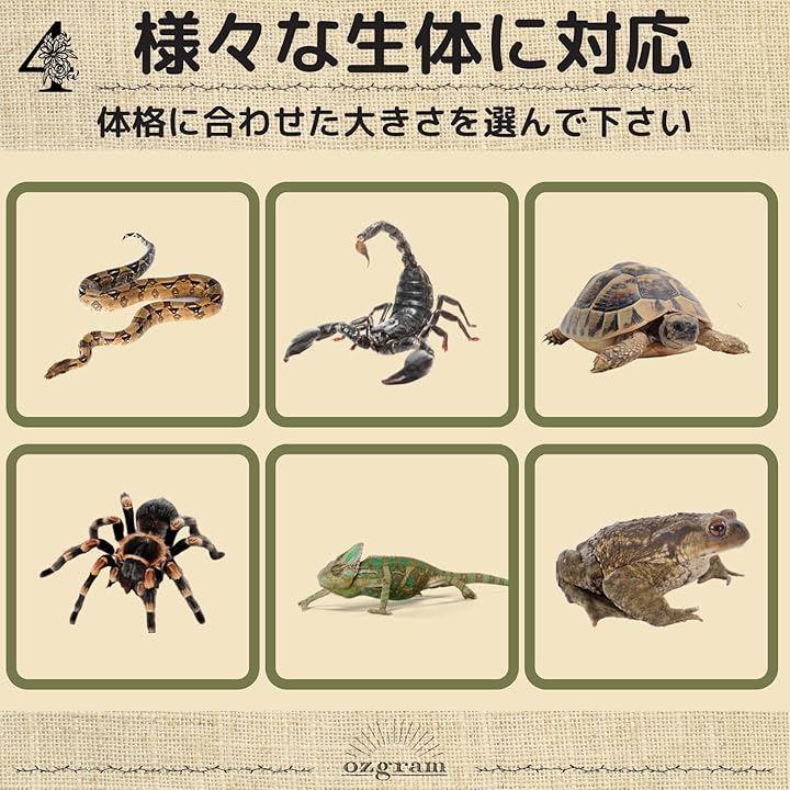 9f2f2311afe7ff75fbffefffc731dd30ffff8400ffffc7f0ee73ffffffff7e7c1b1c1b1d1f1d1d1d1d1d1d1d1d1d1d0e