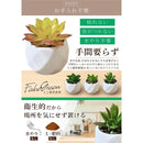 00000000f7ff85ff80ffc0fff8fef8ffe1ffff24cf920000bffeff30fb80b70c1010101000240e0017151b1a00d53324