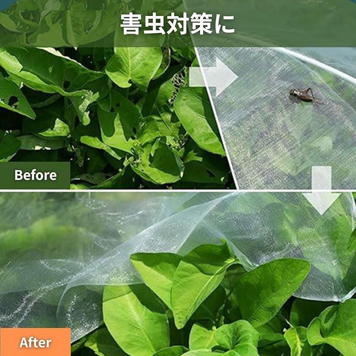 000003400008437f00bd08bf007f001f41bfcfffffff0f963eb3b5c28680f6768445444b464a3e7045483d924b794242