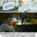 ffffefbfffbf3eff30ffffef00000000020003c001f0000000000000ffffffff3149395e636e386c254e4a525545323d