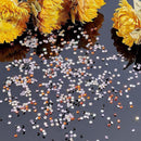 e672b6739623c287e30309a0082019c005cd10d0124401c0300121a446030482201400ae24011ca2a4a613dc9eaf08a4