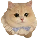 fffffffffffffffffbf7f807f807f007f003e003e003e001e003f003f007f907000000000000000f0016181500161a1a