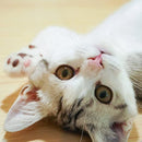 fffffffffffffffffffffffffff79b3efc0ef2c2f0c2a183b001f800f0008000