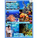 ffff8621d004fef690149f8a81789809dea0ce88e7808f02ff88fb02a9e1d9ef99999999999cabf7991430139990922c