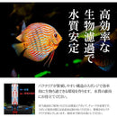 00000000000006001f000f881f020a00000000000000ffffa79fa7ff87bf87ff00210014008b00360000001f00000000