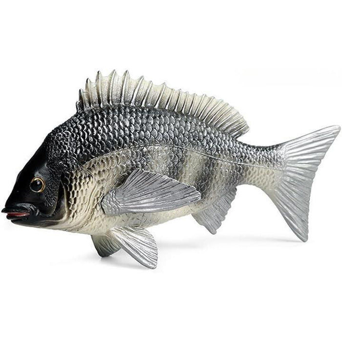 鯛 チヌ 魚 黒鯛 置物 置き物 インテリア オブジェ フィギュア 雑貨