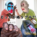 ffffffcffb97f0a7d8d780db85508106856403c30fc113c00d83112500090000118c0f00078d0f1701100032fff912a4