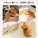 ffffcff3ffffc820c0d0c0f2c0c1c0f9c0f3c0f7ffcffa8bd8c7e1c3cbc3ffc300f2f2f2f5141f11f2111c15f2121917