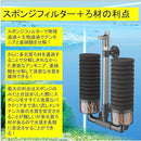 8000fffffffffffffff7f7f7fdf3e5c8efc0ffc0d3c0ffc0e5e0ff54f964ff0000879195002a8924002b901e002192ab