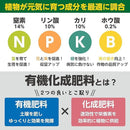 00000000ffffffffcdd9a8aac889fffffbd5fffff313ffffffff9c9488a4aa806a6a6a6a00000000000000f26b2b6b1c